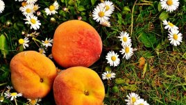 Тридневна диета с праскови