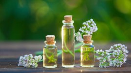 Етерично масло от валериан – при стрес и раздразнен стомах