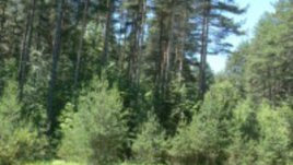 Замени, изсечи, застрои!