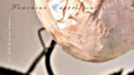 Изложба на границата между феминизъм и женска изява