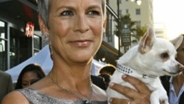 Коралови устни и черни ресници за красиви зрели жени