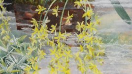 Изложба от японски картини, лекуващи сърцата на хората