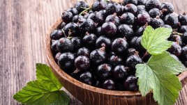 Ползи за здравето от сушения черен касис