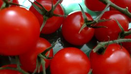 Билки и зеленчуци, които обожават да бъдат отглеждани вкъщи