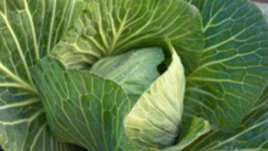 Маска със зелеви листа