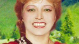 Нежното лице на акордеона