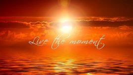 Мисъл на деня за... моментите