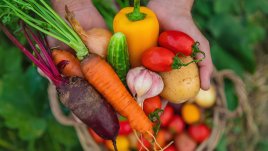 Зеленчуци с високо съдържание на антиоксиданти 