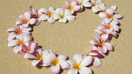 Любовен хороскоп за 28 юли – 3 август 2014