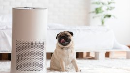 Как да подобрите качеството на въздуха у дома