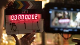 Започнаха снимките на филма по емблематичния мюзикъл „Котки“