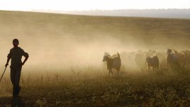 Притча за завистливия овчар