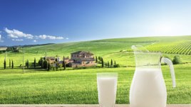 За първи път на българския пазар прясно мляко в прозрачна бутилка