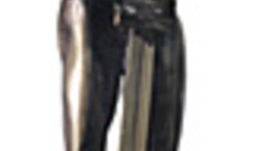 Голямото шоу на Аскеер 2007