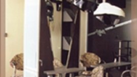 Най-новите програми за здрава коса