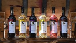 „Вила Ямбол“ триумфира с рекордните 8 медала на престижен винен конкурс