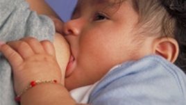 Световна седмица на кърменето