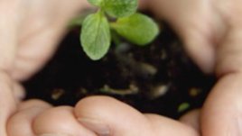 Екосватбите са на мода