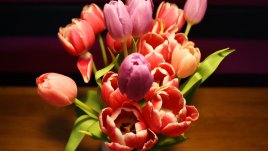 Какво се слага на трапезата на Цветница?