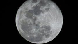 Лунна диета – декември 2010