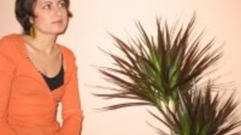 Фалун гонг - Истина, Доброта и Търпение