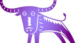 Характеристики на Бика според китайския хороскоп