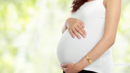 Защо сушените сливи са полезни за бременните?