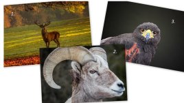 3 изображения разкриват какво да промените тази пролет