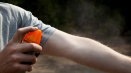 Направете си домашен спрей против комари