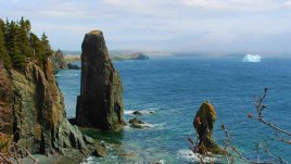 8 причини да посетите Нюфаундленд