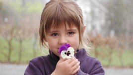 Започва кампанията „Децата са като цветята – нуждаят се от постоянна грижа“