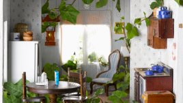 Здравословни ползи от стайните растения