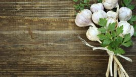 Как да засадите чесън у дома