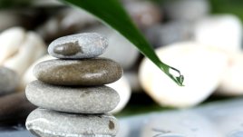 Мисъл на деня