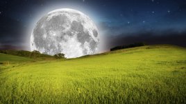 Лунна диета за април 2015