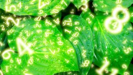 Нумерологична прогноза за 25 март 