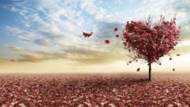 Мисъл на деня