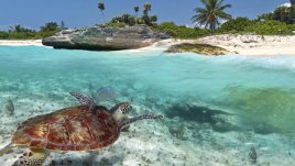 Изберете си картинка и вижте какво показва за вас