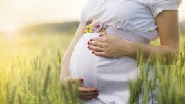 Любопитни факти за плацентата