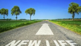 Мисъл на деня  