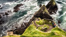 Мисъл на деня за... белите кахъри