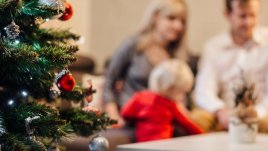 За какво гледаме при избора на елха