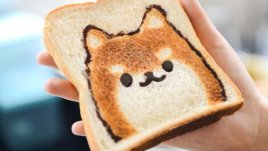 Мисъл на деня за... закуската