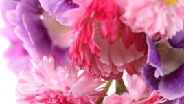 Как да запазим откъснатите цветя свежи за по-дълго?