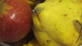 Вкусни рецепти с дюли