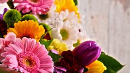 Честит имен ден на Емилия и Емил! 