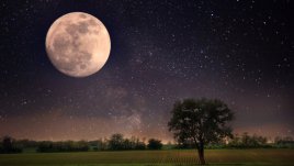 Лунна диета – юни 2014