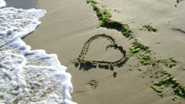 Мисъл на деня