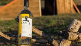 Златна реколта за вината Kabile на „Вила Ямбол“