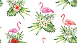 4 красиви птици разкриват какво ви очаква през лятото